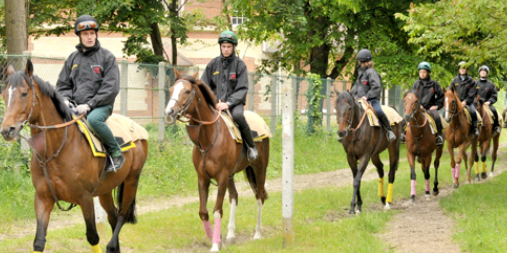 L’Ecole des Courses Hippiques-AFASEC de Gouvieux ouvre ses portes le samedi 19 mars