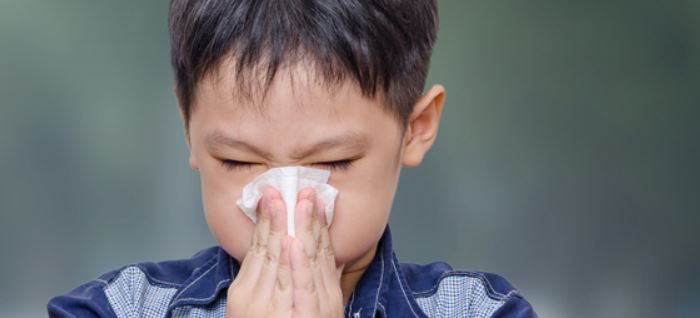 Alerte aux allergies dans l’Oise