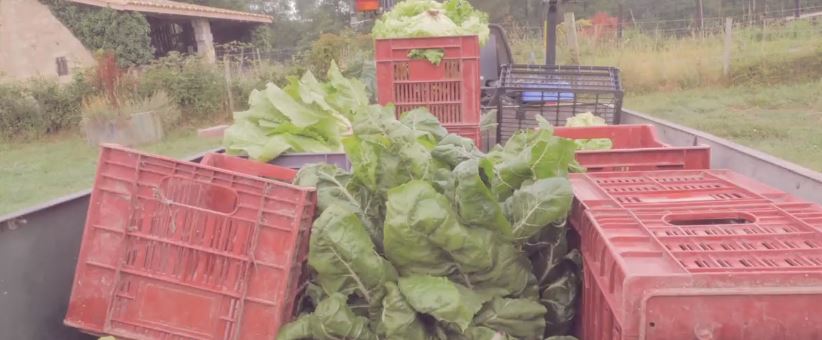 Crépy-en-Valois : la ruche qui dit oui, c’est 39 producteurs locaux !
