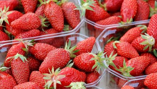 Alerte sur les fraises !