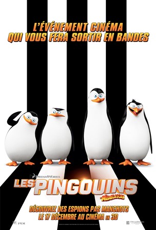 Pingouins de Madagascar