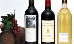 Crépy : partez à la découverte des vins