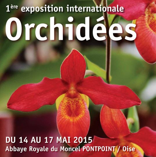 Orchidée 60 vous présente sa 1ère exposition d’Orchidées à l’Abbaye