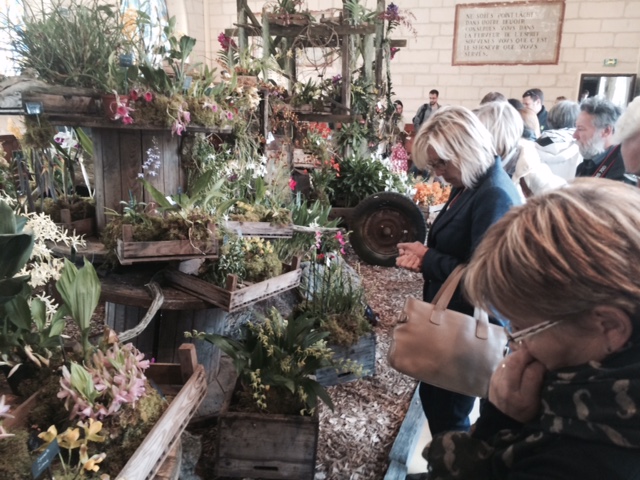 5 000 orchidées exposées à l’abbaye du Moncel