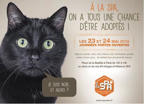 Portes ouvertes les 23 et 24 Mai 2015 : LA SPA vous attend dans refuges de l’Oise