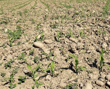Oise : Arreté de restrictions d’eau