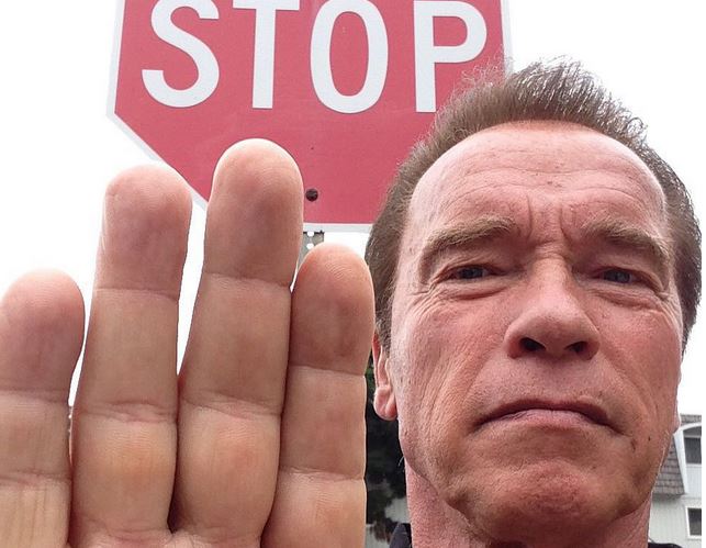 Cecil le lion : Arnold Schwarzenegger condamne les actes du dentiste le plus détesté des États-Unis