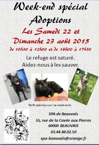 Week-end spécial adoption à la SPA de Beauvais