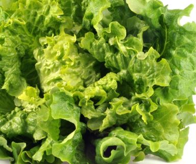 Des pesticides dans des salades achetées dans l’Oise