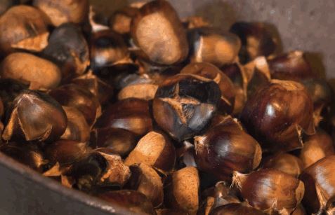 Attichy : le 25 octobre, chaud les marrons!