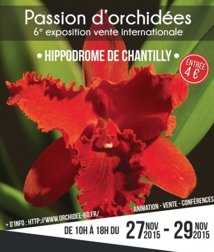 “Passion d’Orchidées “, 6ème exposition vente internationale à Chantilly