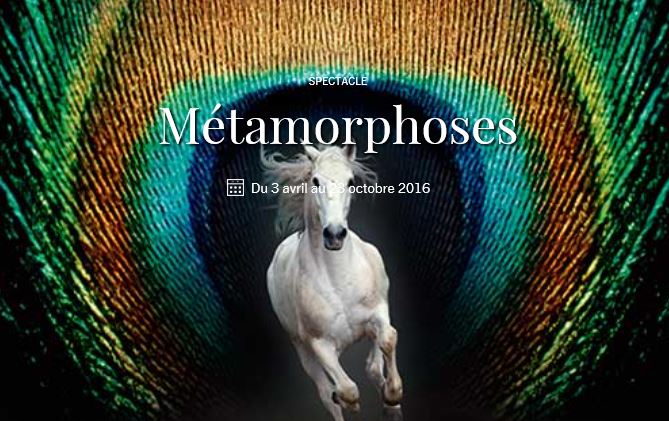 Chantilly : “Métamorphoses” le nouveau spectacle équestre onirique des grandes écuries