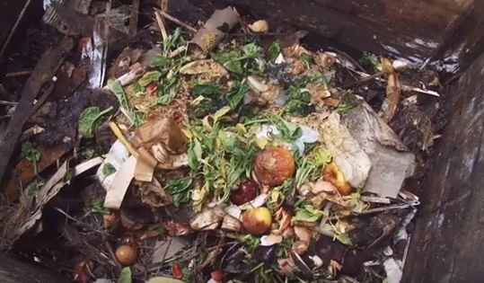 Compiègnois, réduisez vos déchets! (vidéo)