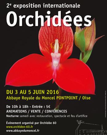 Les orchidées du monde entier s’exposent au cœur de l’Abbaye Royale du Moncel