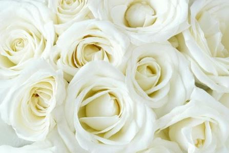 Compiègne : marche blanche en souvenir de Issa Camara