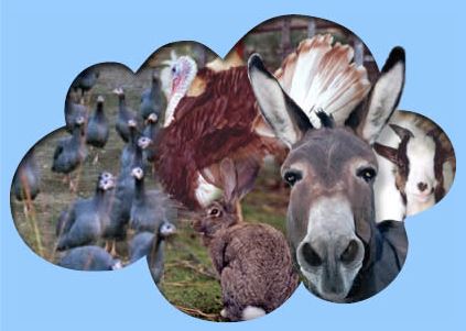 Jardin biologique de Beaulieu les fontaines : apprenez les gestes écologiques pour préserver la biodiversité