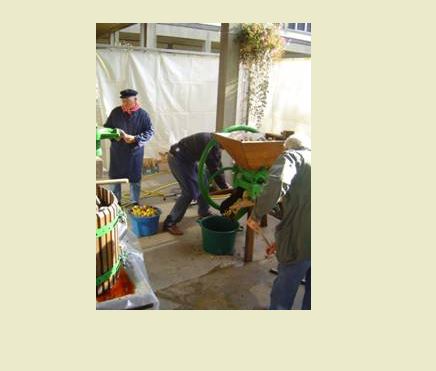 Grandvilliers fête la pomme ce week-end