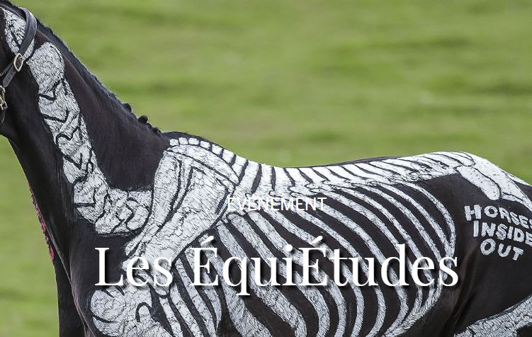 Le Domaine de Chantilly propose la première édition des ÉquiÉtudes.