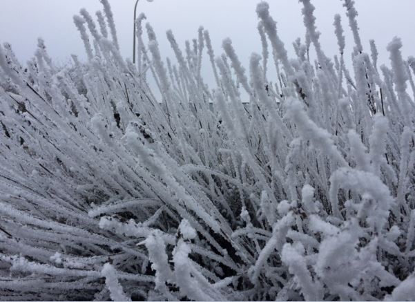 La neige est annoncée dans l’Oise pour la fin de semaine