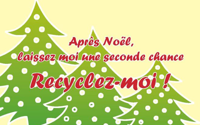 Compiègnois : que faire de son sapin de Noël ?