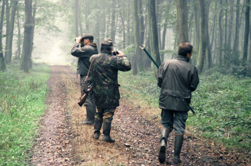 Des abris de chasseurs  ont été dégradés en forêt de Compiègne.