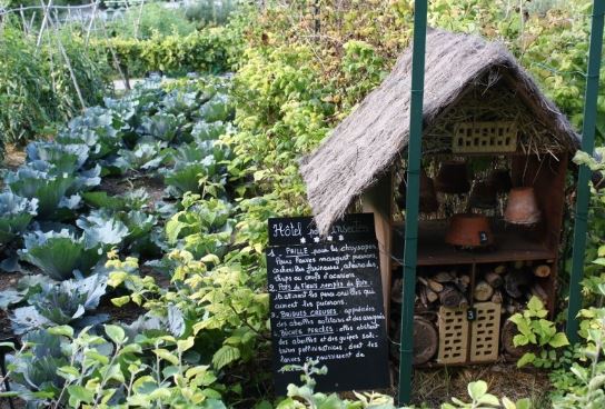 Potager des princes à Chantilly: jusqu’au 23 avril, venez faire la chasse à l’oeuf !
