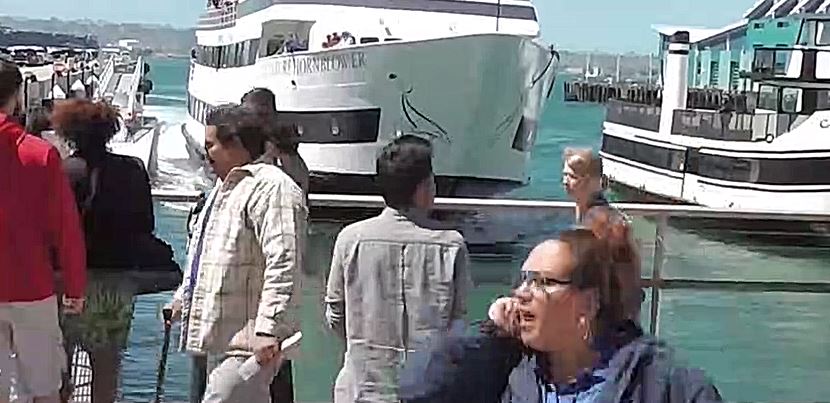 Un bateau arrive trop vite au port et se crash sur le ponton : le drame évité de peu.