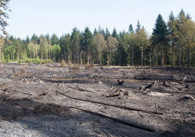Saint-Paul : spectacle de désolation après l’incendie