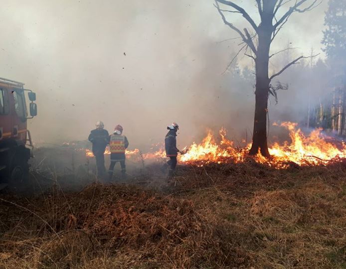Saint-Paul : un important incendie en bordure de la RN31 ravage 15 hectares de forêt