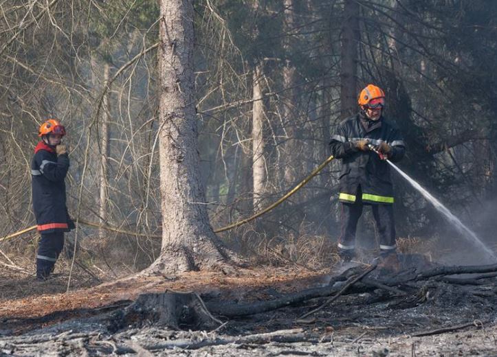 Important incendie en forêt de Mortefontaine : 4000 m² de pinèdes ravagés par les flammes