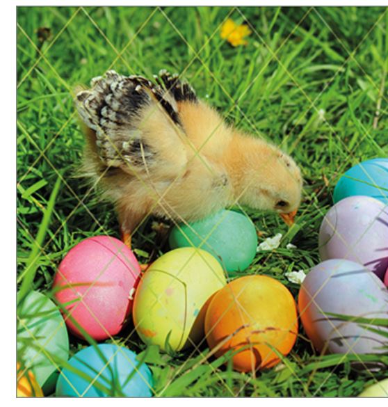 Beauvais : ce lundi de Pâques, partez à la chasse aux oeufs