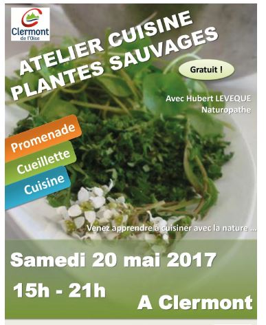 Clermont : apprenez à reconnaître, récolter et cuisiner les plantes de la région