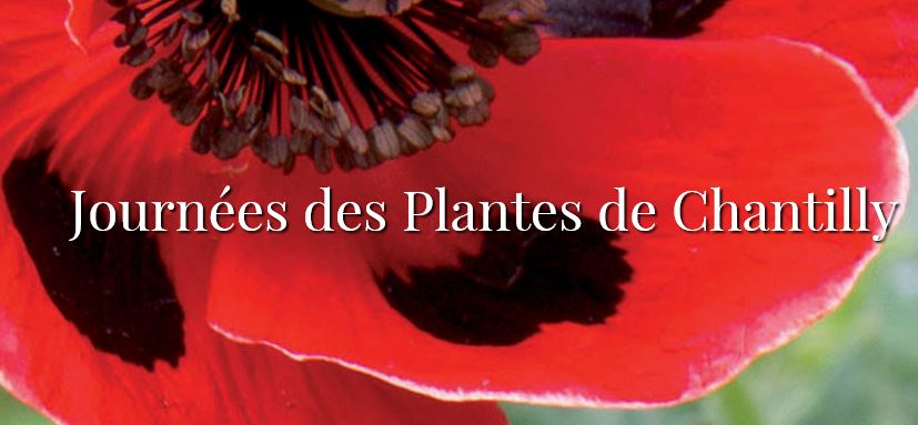 L’Europe des jardiniers a rendez-vous à Chantilly du 19 au 21 mai