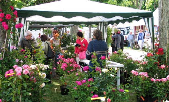 Gerberoy : élections obligent, la fête des roses est décalée au 4 juin