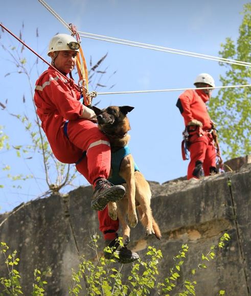 Disparition d’Ulis : les pompiers de l’Oise rendent hommage au chien sapeur-pompier