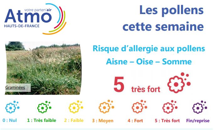 Oise : risque d’allergie très fort aux pollens de graminées