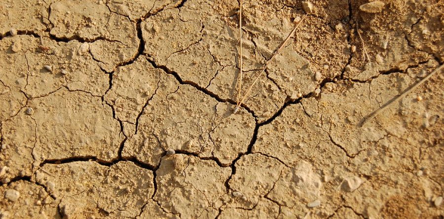 Oise : l’été sera chaud !