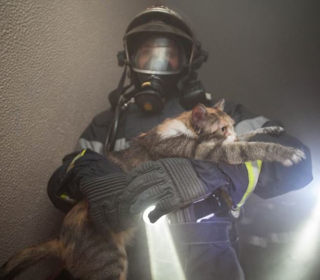 Pavillon en feu à Crévecoeur-le-Grand : Deux blessés légers !