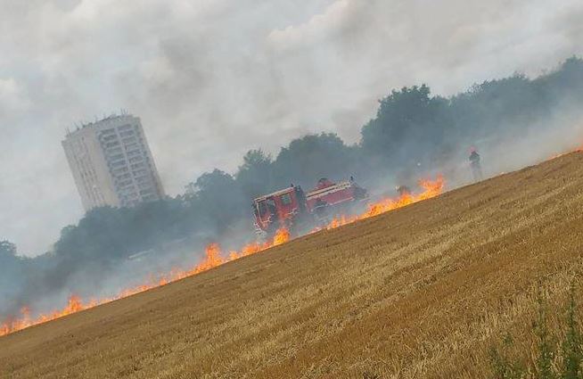 Sécheresse dans l’Oise : le champs partent en fumée
