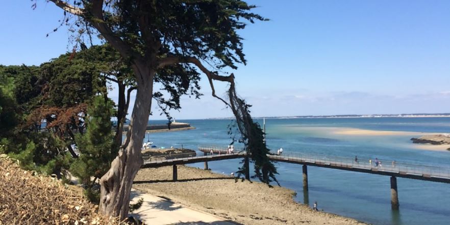Angleterre : Une plage évacuée à cause d’une brume chimique
