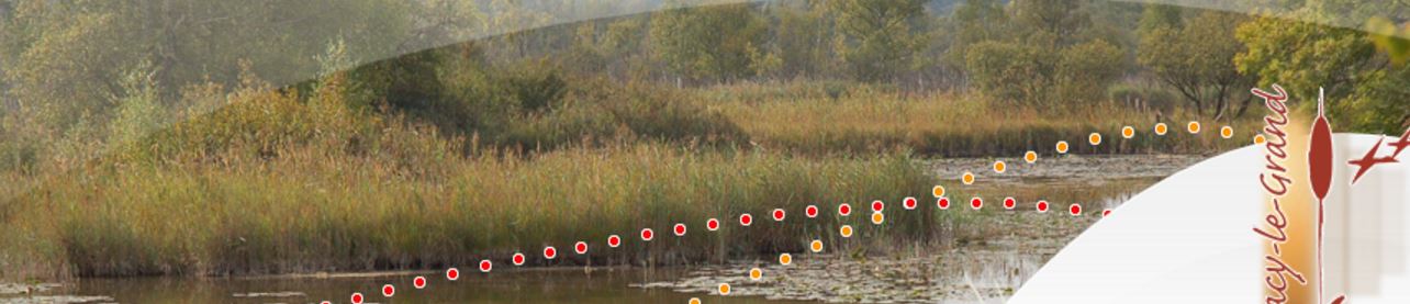 Marais de Sacy : visite le vendredi 18 août 2017 de 14h00 à 17h00