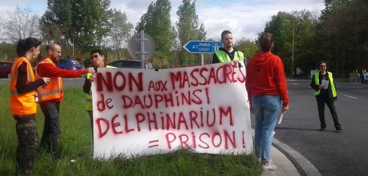 Plailly : Les militants de l’association “C’est assez” manifestent devant le Parc Astérix pour sauver Femke, le dauphin
