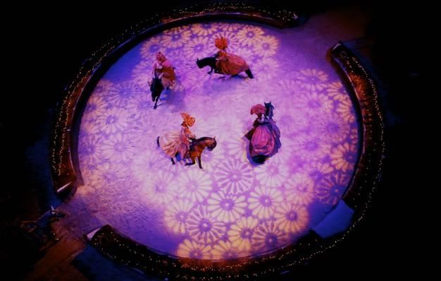 Grandes Ecuries du Domaine de Chantilly : Virginie Bienaimé vous invite a revisiter le Lac des Cygnes