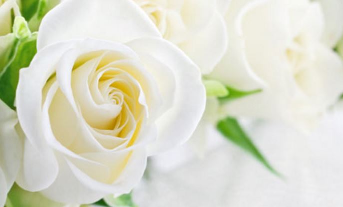 Hommage silencieux à Sindy et deux de ses enfants en gare de Noyon