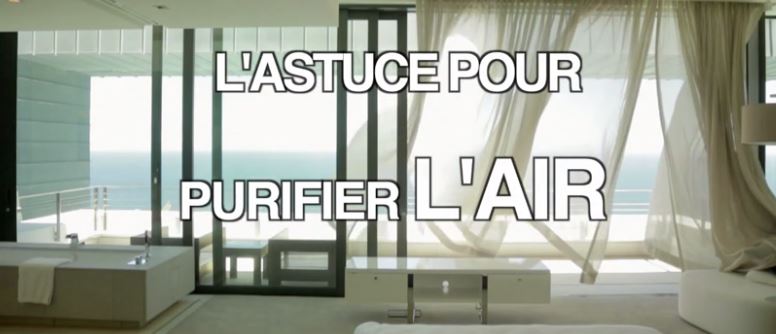 L’ astuce pour purifier l’air intérieur de votre intérieur