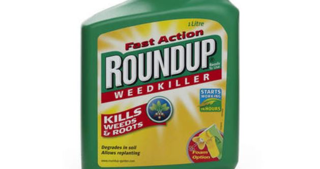 Auchan retire de ses rayons les produits de jardinage à base de glyphosate