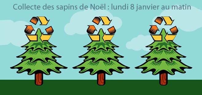Verberie : mon beau sapin, roi des forêts… il est temps de se dire adieu.