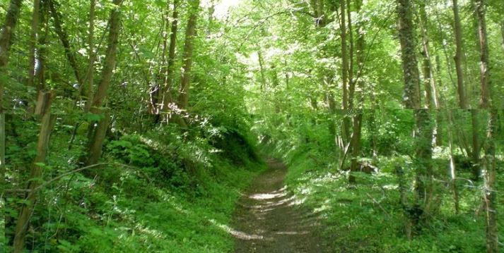 Clermont : les itinéraires de découverte de Faÿ, pour vous aérer près de chez vous !