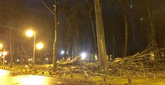 Oise : ce dimanche tempétueux a généré 213 interventions sur l’ensemble du département