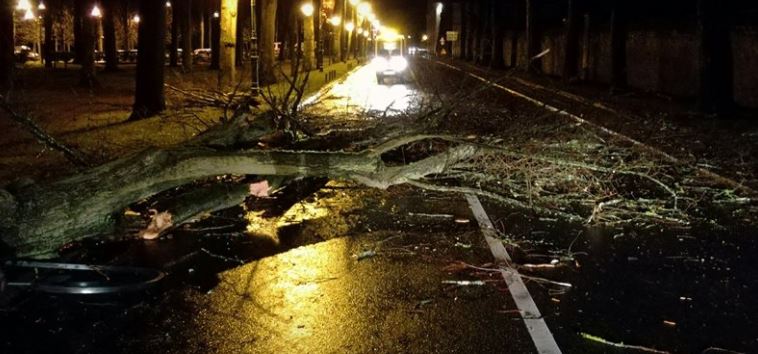 Décharges sauvages à Senlis : ça suffit !